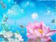 蕅益大师：念佛法门只深信力行为要耳