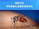 基孔肯雅热是啥病怎么防？